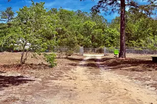 109 Prince Ln, Elgin, SC 29045 - Photo 23