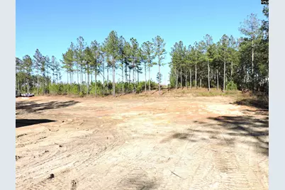 818 White Pond Road, Williston, SC 29853 - Photo 5