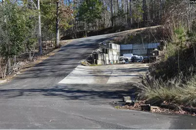 2242 Singleton Creek Road, Liberty Hill, SC 29074 - Photo 51