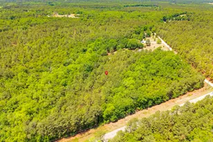 1939 Hwy 601 S, Lugoff, SC 29078 - Photo 3