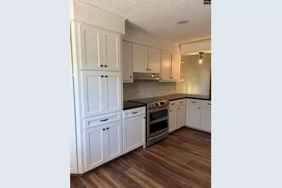 2545 Silverstreet Road, Silverstreet, SC 29145 - Photo 3