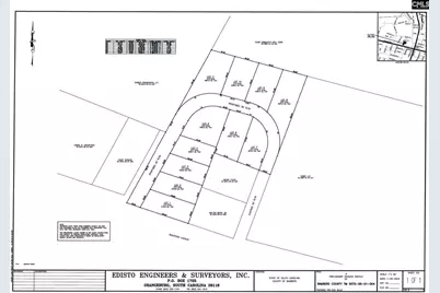 3494 Railroad Avenue, Bamberg, SC 29003 - Photo 1