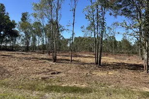 00 Sc Hwy 773 Hwy, Pomaria, SC 29126 - Photo 1