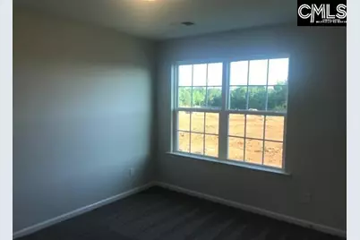 1342 Tamarind Lane, Chapin, SC 29036 - Photo 11