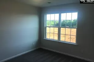 1342 Tamarind Ln, Chapin, SC 29036 - Photo 11