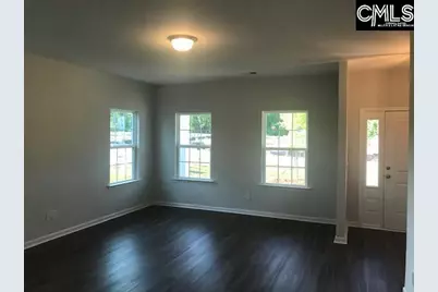 1342 Tamarind Lane, Chapin, SC 29036 - Photo 3
