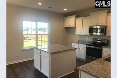 1342 Tamarind Lane, Chapin, SC 29036 - Photo 5
