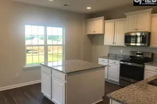 1342 Tamarind Ln, Chapin, SC 29036 - Photo 5