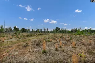 1244 Weston Rd, Hopkins, SC 29061 - Photo 63