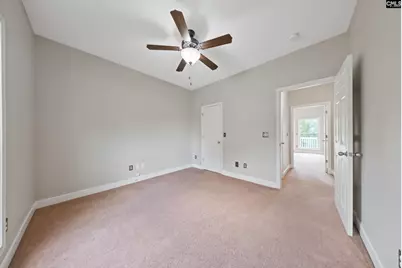 217 Lakewood Drive, Chapin, SC 29036 - Photo 17
