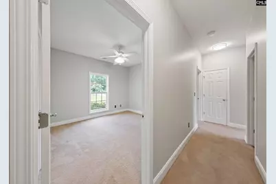 217 Lakewood Drive, Chapin, SC 29036 - Photo 9