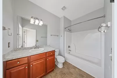 217 Lakewood Drive, Chapin, SC 29036 - Photo 11