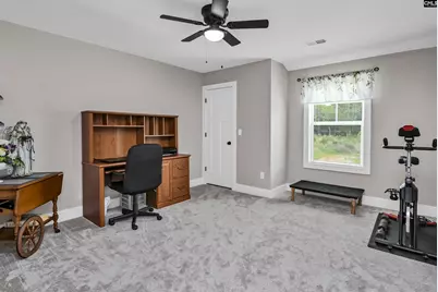 191 Collins Cove Drive, Chapin, SC 29036 - Photo 29