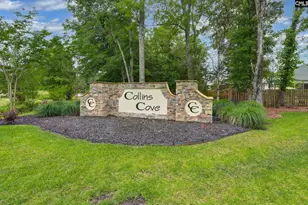 191 Collins Cv Dr, Chapin, SC 29036 - Photo 49