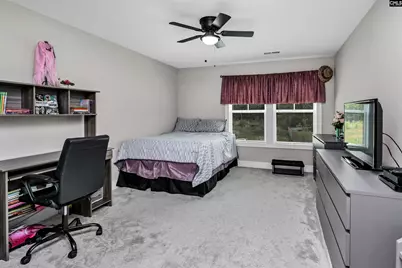 191 Collins Cove Drive, Chapin, SC 29036 - Photo 31