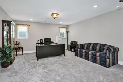 191 Collins Cove Drive, Chapin, SC 29036 - Photo 27