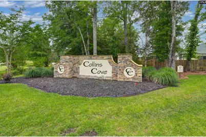 191 Collins Cove Drive, Chapin, SC 29036 - Photo 55