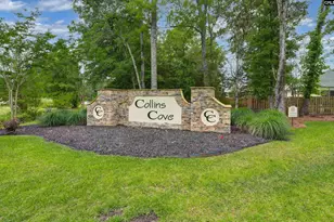 191 Collins Cv Dr, Chapin, SC 29036 - Photo 55