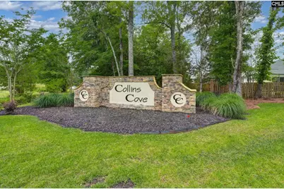 191 Collins Cove Drive, Chapin, SC 29036 - Photo 45