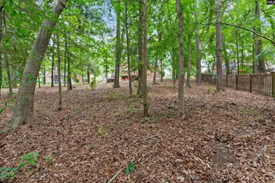 108 Rolling Creek Circle, Irmo, SC 29063 - Photo 71