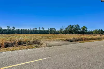 1745 Williams Hill Road, Hemingway, SC 29954 - Photo 23