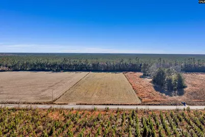 1745 Williams Hill Road, Hemingway, SC 29954 - Photo 5