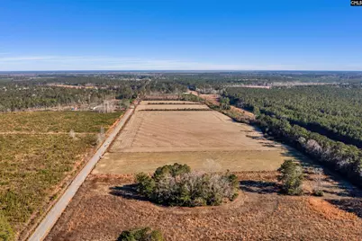 1745 Williams Hill Road, Hemingway, SC 29954 - Photo 3