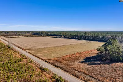 1745 Williams Hill Road, Hemingway, SC 29954 - Photo 1