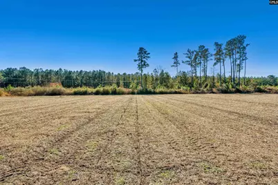 1745 Williams Hill Road, Hemingway, SC 29954 - Photo 15