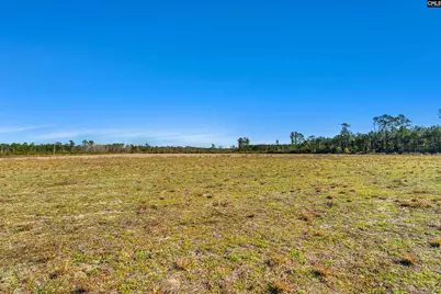 1745 Williams Hill Road, Hemingway, SC 29954 - Photo 21