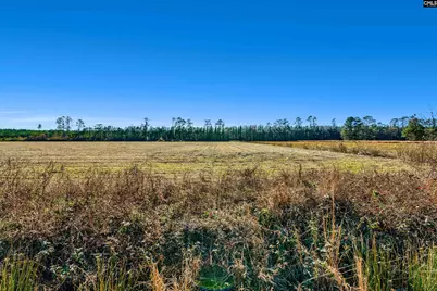 1745 Williams Hill Road, Hemingway, SC 29954 - Photo 25