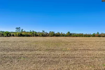 1745 Williams Hill Road, Hemingway, SC 29954 - Photo 17