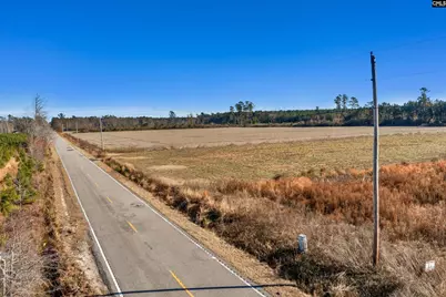 1745 Williams Hill Road, Hemingway, SC 29954 - Photo 7
