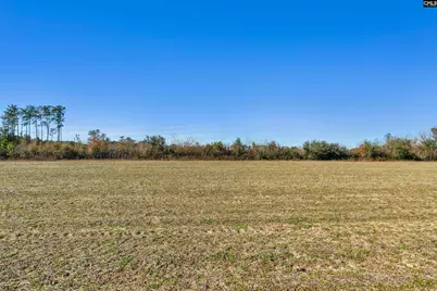 1745 Williams Hill Road, Hemingway, SC 29954 - Photo 9