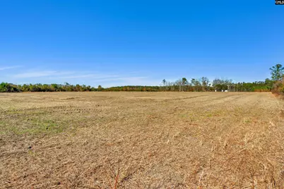 1745 Williams Hill Road, Hemingway, SC 29954 - Photo 13