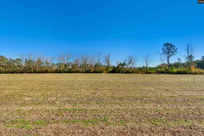 1745 Williams Hill Road, Hemingway, SC 29954 - Photo 11