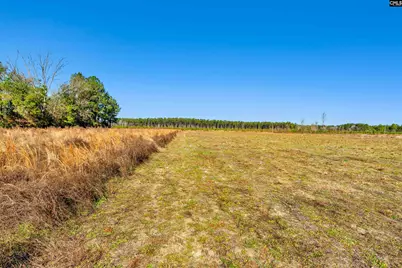 1745 Williams Hill Road, Hemingway, SC 29954 - Photo 19