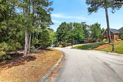 1329 Martins Camp Lane #Lot 14, Gilbert, SC 29054 - Photo 5