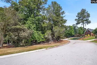 1329 Martins Camp Lane #Lot 14, Gilbert, SC 29054 - Photo 7