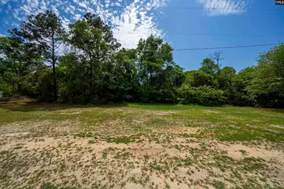 310 Old Broad Street, Leesville, SC 29070 - Photo 43