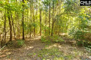 420 S Church St, Lexington, SC 29072 - Photo 33