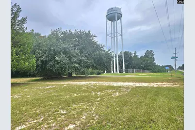 4412 Festival Trail Road, Wagener, SC 29164 - Photo 9