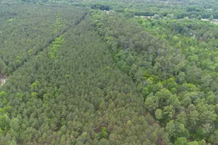1291 Congress Rd, Eastover, SC 29044 - Photo 19