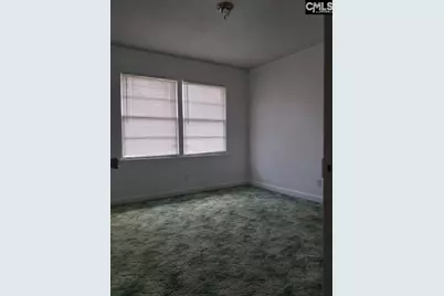 1703 Alba Drive, Columbia, SC 29209 - Photo 21