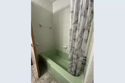 1703 Alba Drive, Columbia, SC 29209 - Photo 15