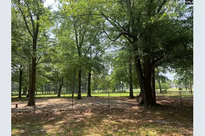 1500 Chestnut Drive, Elgin, SC 29045 - Photo 17