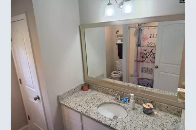 222 Sophie Court, Lexington, SC 29073 - Photo 25