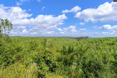 0000 Hwy 215 3 #3, Jenkinsville, SC 29065 - Photo 13