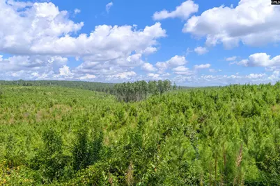 0000 Hwy 215 3 #3, Jenkinsville, SC 29065 - Photo 11