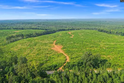 0000 Hwy 215 3 #3, Jenkinsville, SC 29065 - Photo 25